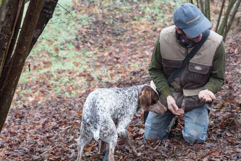 Guided tours searching truffles