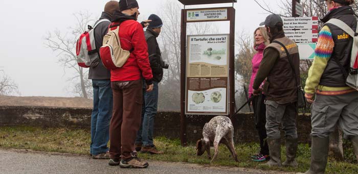 Guided tours searching for truffles in Langa and Roero with the trifulao and his trusty dog